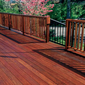 Ipe Deck with Flowers